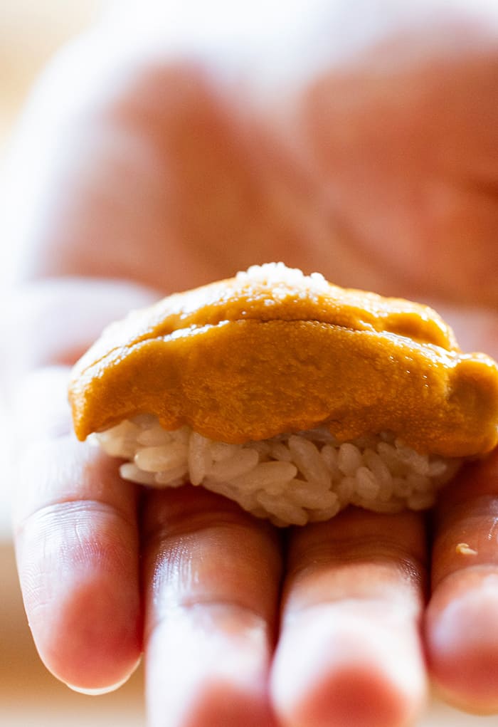 Curriculum カリキュラム